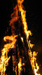 fire wood