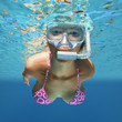 Illustration: underwater woman underwater woman
