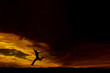 Saut au crépuscule
