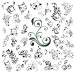 Big set of floral elements