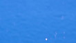 The snow sparkles on the dark background