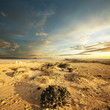 Photo: Prairie Prairie