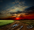 country road