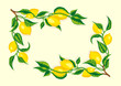 Lemon branch stylized corner frame