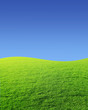 rasen_himmel_klar