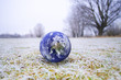 The globe on the frozen grass