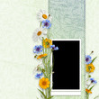 Illustration: Elegance frame with summer flowers Elegance frame with summer flowers