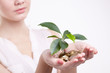 woman's hands holding plant sprouting from a handful of coins