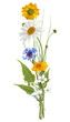 Summer bouquet isolated on white