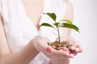woman's hands holding plant sprouting from a handful of coins