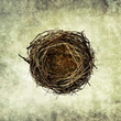 Photo: bird nest print bird nest print