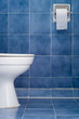 White ceramic sanitary ware in Blue bathroom White ceramic sanitary ware in Blue bathroom