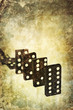 domino line cover