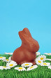 Pâques - lapin en chocolat Pâques - lapin en chocolat