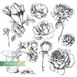 Flower set.