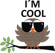 I´m cool