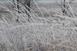 temps de glace 18