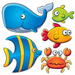 Vektor: Sea Fish Collection Sea Fish Collection