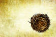Photo: nest background nest background