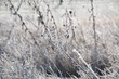 temps de glace 12