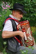 accordéoniste