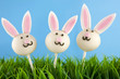 Easter bunny cake pops