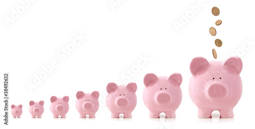 Photo: Investment Growth - Piggy Banks Investment Growth - Piggy Banks