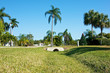 tropical neighborhood