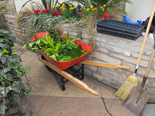 Photo: Red Wheelbarrow with garden refuse Red Wheelbarrow with garden refuse
