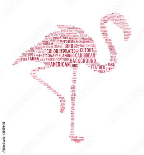 Illustration: flamingo text clouds flamingo text clouds