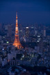 tokyo tower tokyo tower
