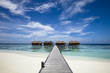 luxury hotel in tropical island