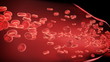 Blood arteries and veins section / cut