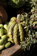 zucche zucca zucchine biologiche