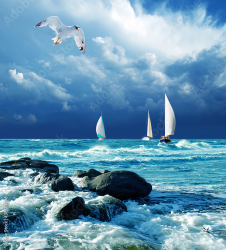 Photo: sailing regatta sailing regatta