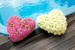 Flower hearts Flower hearts