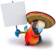 Perroquet mexicain Perroquet mexicain