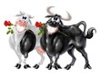 Illustrazione: coppia bovina coppia bovina