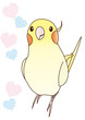 オカメインコ　ルチノー