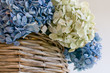 dried hydrangea in still life bouquet