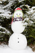 Schneemann - Witziges Wintermotiv