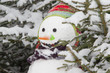 Schneemann - Witziges Wintermotiv