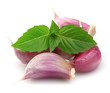 Basil and garlic