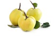 three yellow sour quinces
