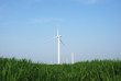 Éoliennes en groupe