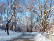 Winter park in snow on a sunny day Winter park in snow on a sunny day