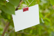 The card hangs on a rope against a tree
