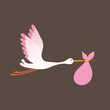 A cartoon illustration of a stork delivering a newborn baby girl A cartoon illustration of a stork delivering a newborn baby girl