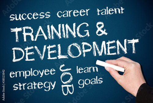 Illustration: Training and Development Training and Development