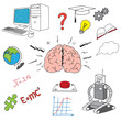 brain